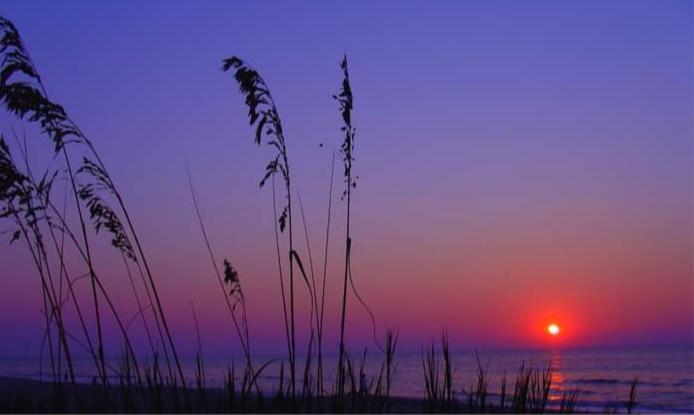 Lee'S Myrtle Beach Condo Exterior photo